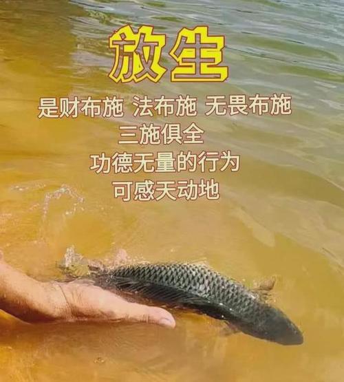 什么是放生仪轨 ？放生仪轨最方便的方式