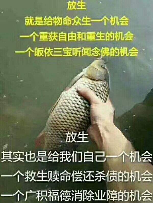 有什么讲究，如何正确放生？