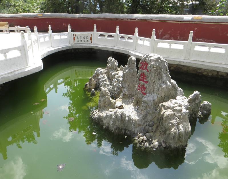 放生池的意义