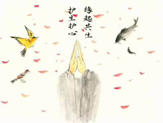 放生中的一些疑问？