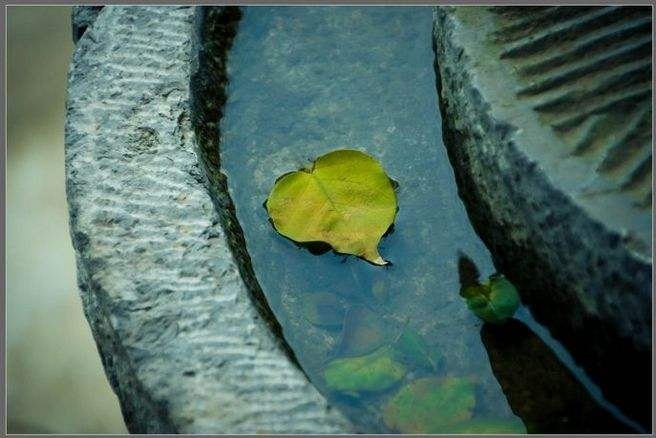 放生后一定要吃素吗？