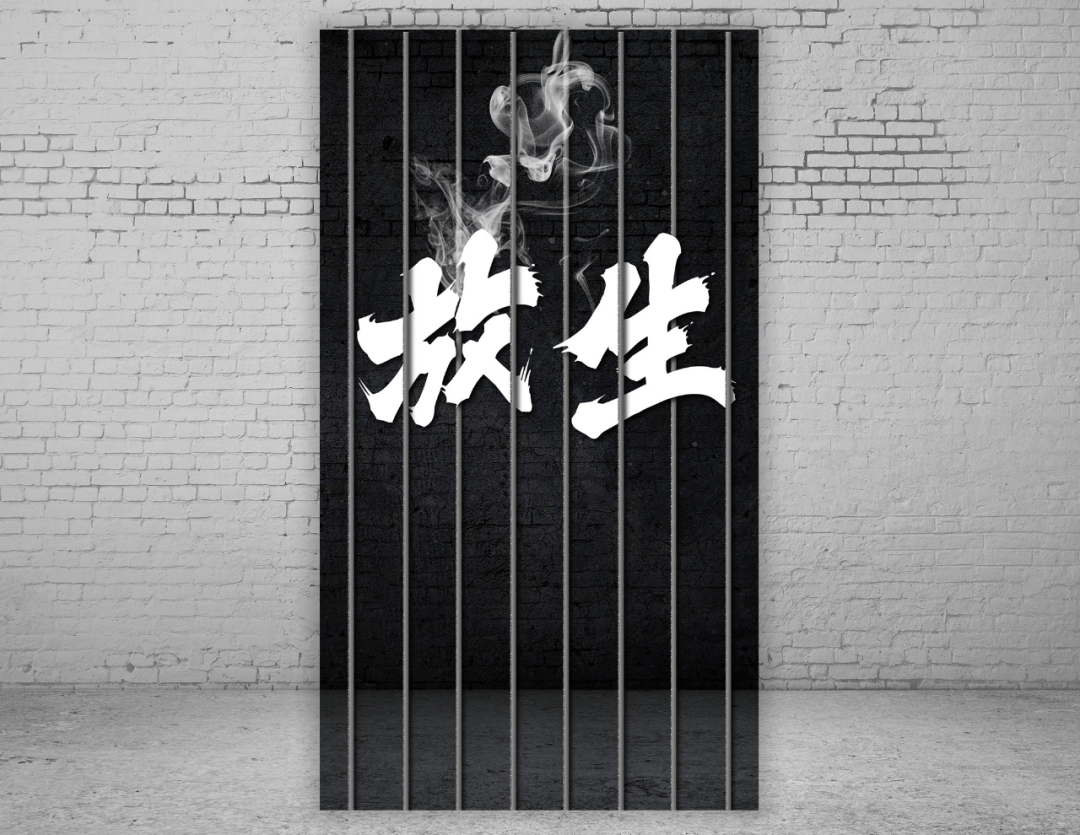 要念咒放生起到效果更好哦